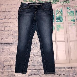 Torrid Skinny Jeans
